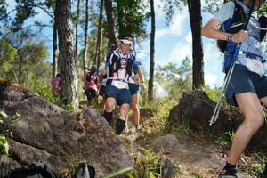 BIB: 
                            <button type="button" onclick="openModal(18916817)" class="btn btn-primary btn-sm float-right btn-popup" data-toggle="modal" data-target=".modal-high-quality">
                        <i class="fas fa-shopping-cart"></i> Add to Cart
                    </button>
                                            <button type="button" onclick="isThisMe(18916817, true)" class="btn btn-success btn-sm float-right btn-popup btn-isme hidden" data-toggle="tooltip" data-placement="bottom" title="นี่คือรูปของคุณใช่ไหม คลิกที่นี่เพื่อเอาเข้าอัลบั้ม">
                        <i class="fas fa-plus"></i> Add to album
                    </button>
                    <button type="button" onclick="isThisMe(18916817, false)" class="btn btn-warning btn-sm float-right btn-popup btn-isnotme hidden">
                        <i class="fas fa-ban"></i> Remove from album
                    </button>